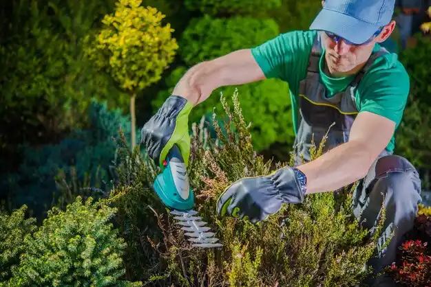 landscaping services Hooven